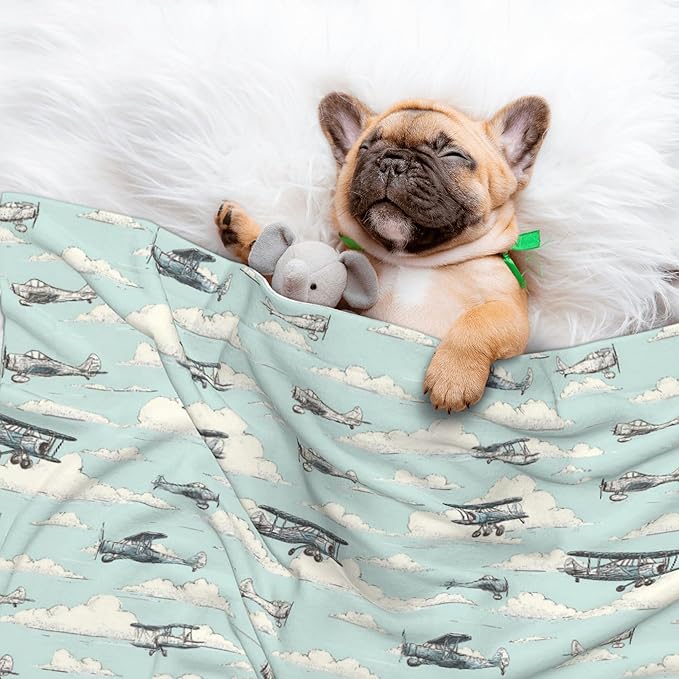 Waterproof Dog Blanket Soft Pet Blanket for Puppy Cat, Fleece Cat Throw Blankets for Furniture Bed Couch Sofa Reversible - Airplanes in The Sky 1