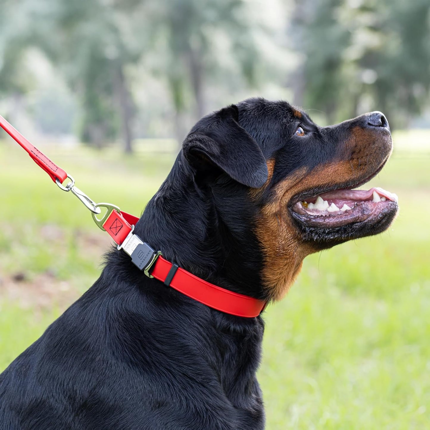 Dogline Biothane Waterproof Dog Collar with Herm Sprenger Black Stainless Steel Quick Release Buckle – Heavy Duty Tactical Durable Collar for Dogs – Comfortable and Safe Pet Collar W 1" L 15-25" Red