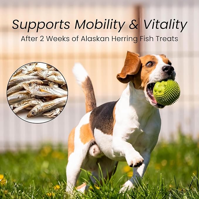 Happy Gluten Free Herring Dog Treats – Wild-Caught Dried Fish for Dogs & Cats – Single Ingredient, High Protein Fish Treats – Made in Alaska (3.5 oz)