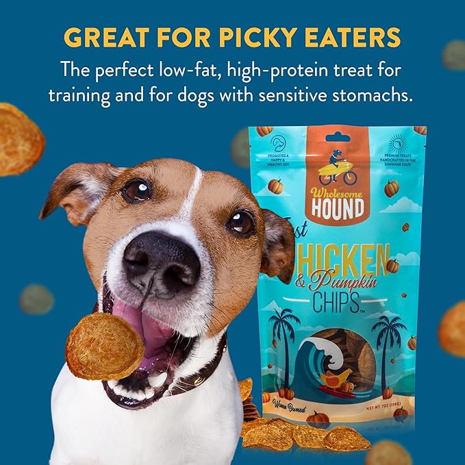 Chicken & Pumpkin Chips – 2 Simple Ingredient Dog Treats, All Natural & Healthy Training Snacks for Small, Medium & Large Breeds, Puppies – High Protein, 7oz