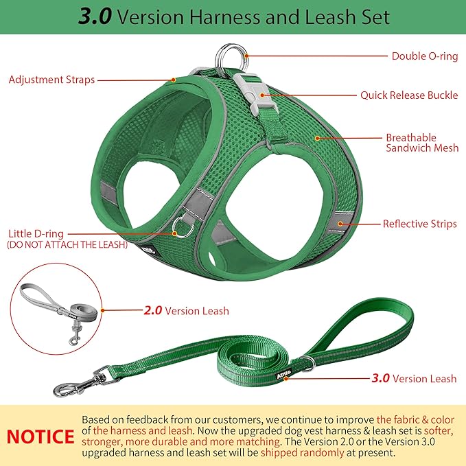 AIITLE Small Harness for Puppy with A Leash - Dog Vest Harness with Super Breathable Mesh, Reflective No-Pull Pet Harness for Outdoor Walking, Running for Small Dogs, Cats Green XXS