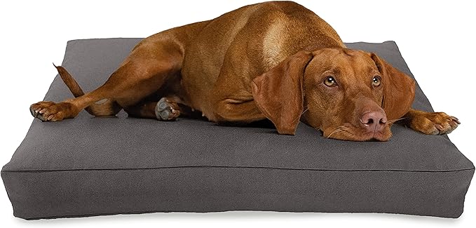 Large - 42 x 28 x 5 - Shadow Gray Premium Organic Hemp Dog Bed - Organic Latex Fill - Removeable Cover