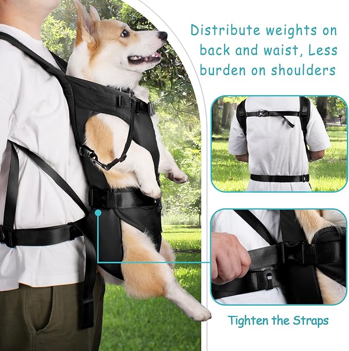 PetBonus Pet Front Dog Carrier Backpacks, Adjustable Pet Backpack, Legs Out Easy-fit Puppy Chest Carrier for Medium Small Dogs, Hands Free for Hiking, Cycling (Black, M)