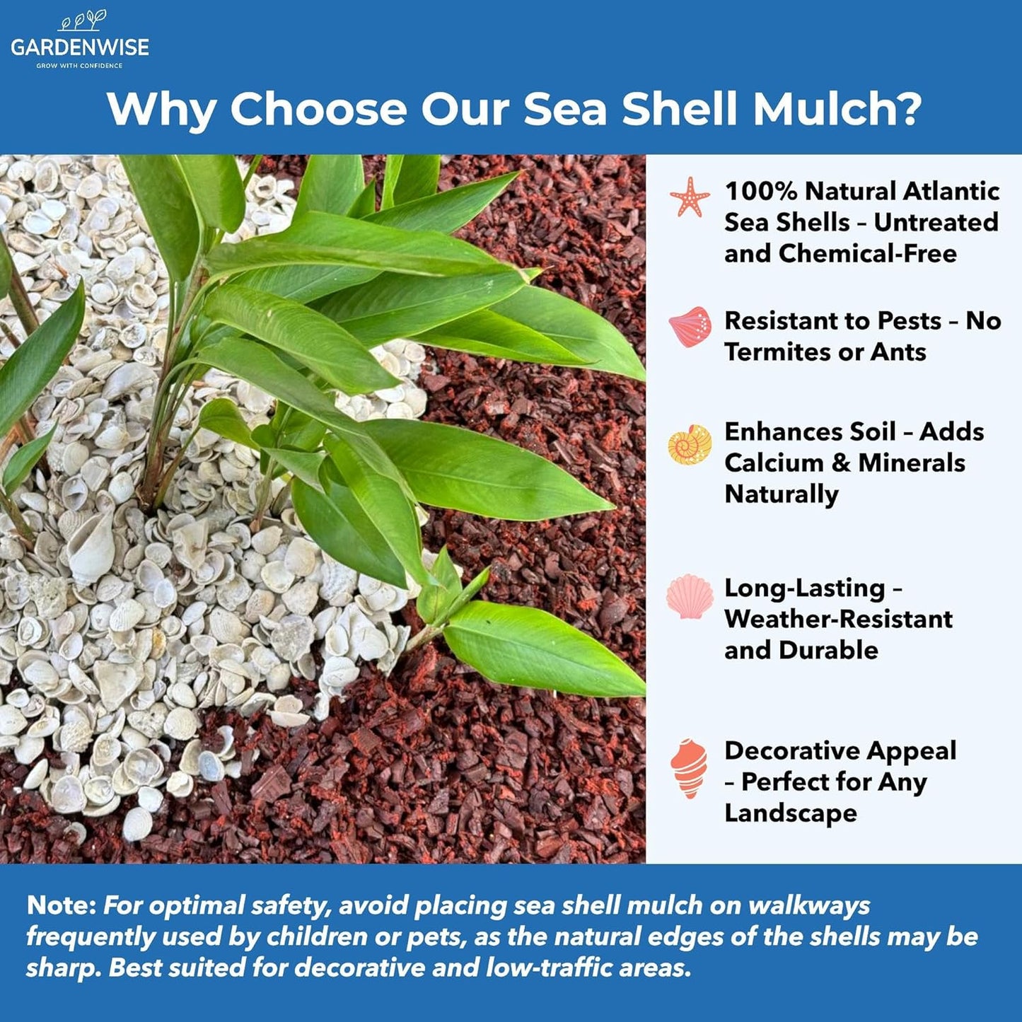 Natural Organic Sea Shell Mulch for Gardens and Landscaping – Decorative and Nutrient-Rich, 0.5–3-Inch Shells, Perfect for Indoor and Outdoor Use (0.5 CF - 14 L - 15 QTS)