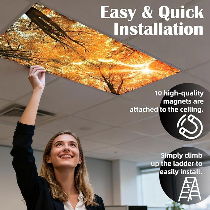4 Pcs Fluorescent Light Covers