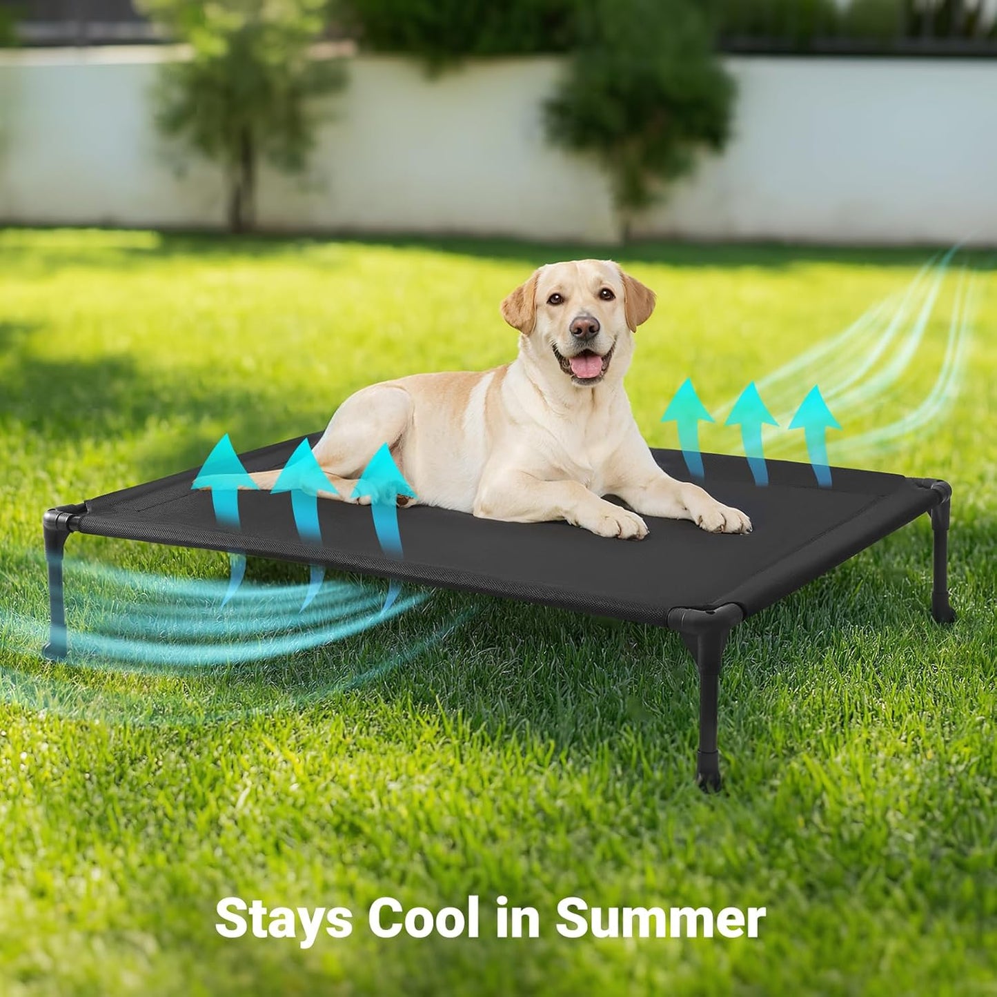 Veehoo Cooling Elevated Dog Bed, Portable Raised Pet Cot with Washable & Breathable Mesh, No-Slip Feet Durable Dog Cots Bed for Indoor & Outdoor Use, Large, CWC1803-L