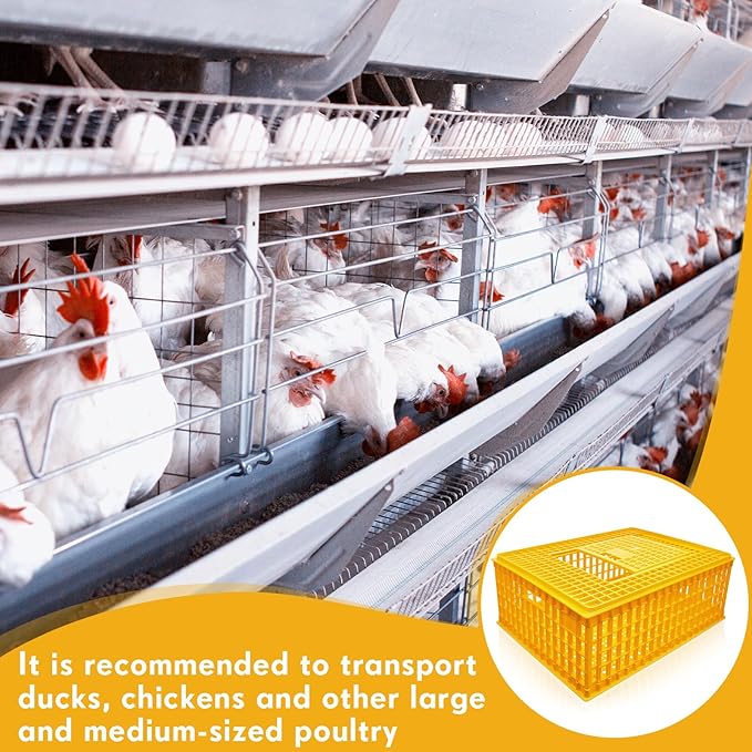 Sintuff 2-Piece Poultry Carrier - Plastic Chicken Transport Cage, 29.5 x 21.7 x 11.6 Inch