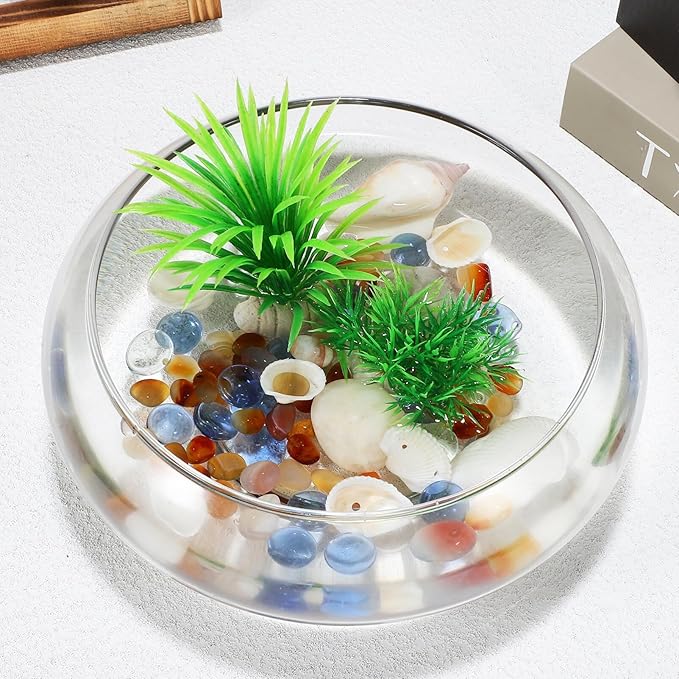 BESPORTBLE Glass Fish Bowl Vase - 2pcs Clear Shallow Bowl Planter Round Terrarium Hydroponic Planter Flower VAE for Plants Succulent Air Plant Candy Bowl, 15.00X15.00X6.00CM