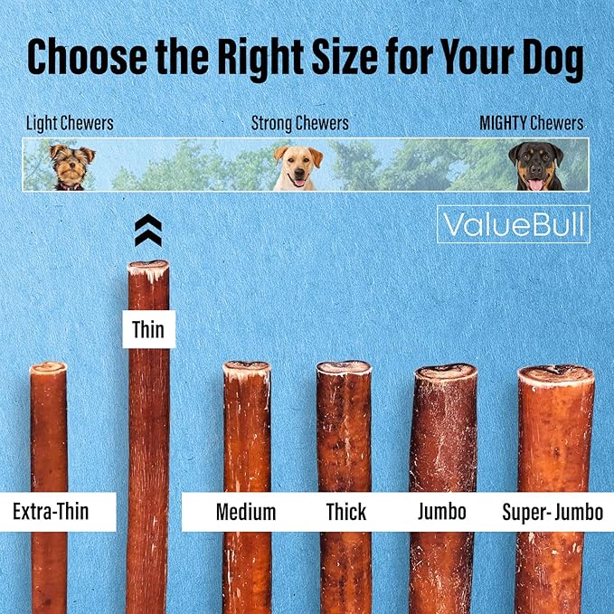 ValueBull Bully Sticks for Small Dogs, Thin 12 Inch, 25 Count - All Natural, Grass Fed, Single Ingredient, Long Lasting Dog Treats