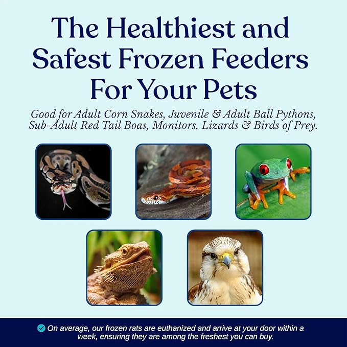 MiceDirect Frozen Rat Pups Snake Food - Frozen Rats for Snakes like Juvenile Ball Pythons, Adult Corn & Ball Pythons, Sub-Adult Red Tail Boas, Monitor Lizards, Birds of Prey - 2.5-3.5 in (25 Count)