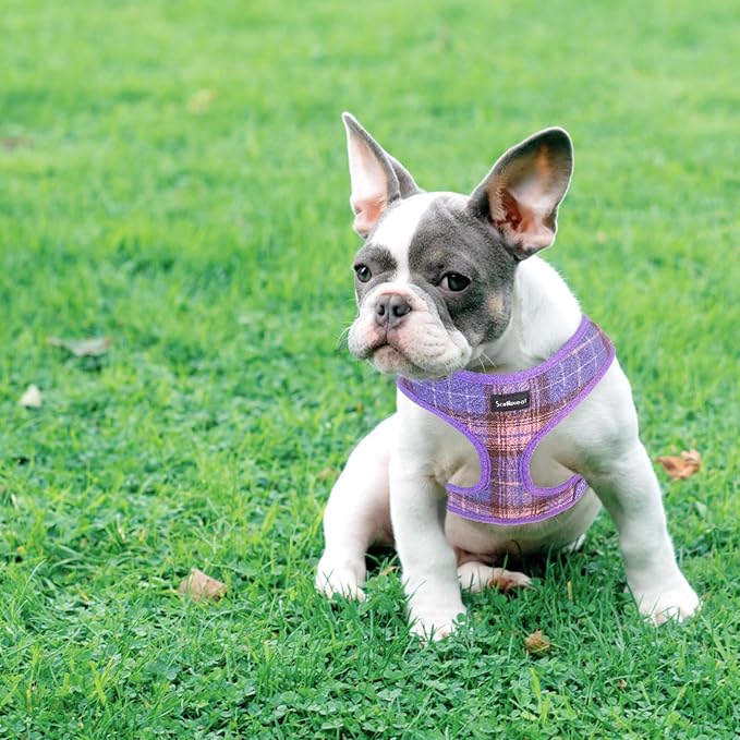 SCENEREAL No Pull Dog Harness with Leash Set for Small Dogs - Breathable Soft Mesh Vest, Plaid Design for Daily Walking Training, Fits Chihuahua Bulldog, Purple Size XS