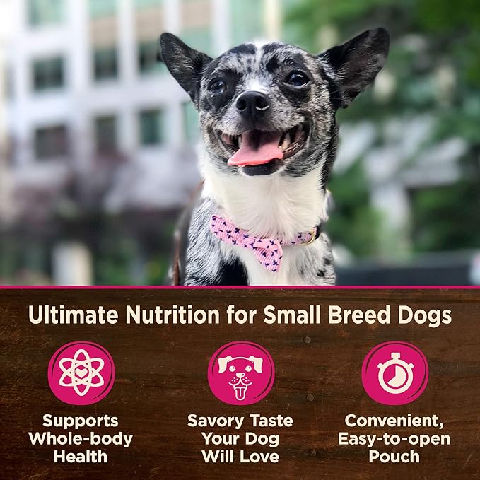 Wellness CORE Natural Grain Free Small Breed Mini Meals Wet Dog Food, Chunky Chicken & Chicken Liver Entrée in Gravy, 3-Ounce Pouch (Pack of 12)