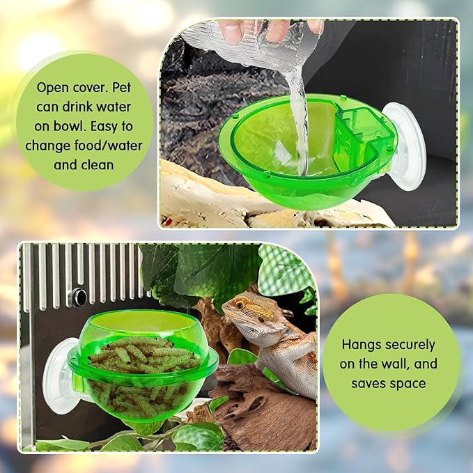 Tfwadmx Chameleon Bowl, Reptile Feeding Feeder,Worm Live Fodder Container, Water Dish Gecko Ledge Suction Cup Feeder Chameleon Supplies Accessories for Gecko Lizard Bearded Snakes Dragon 4 Pcs