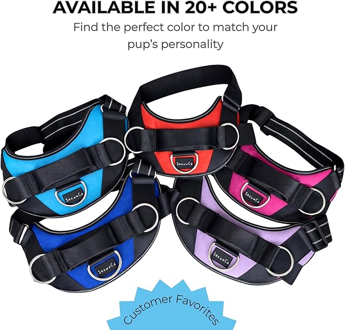 ShawnCo Essential Dog Harness, No-Pull Pet Vest with 3 Leash Clips, No Choke, Reflective, Adjustable and Padded, for Easy Walking and Training for Small, Medium and Large Dogs (Freckle's Garden, M)