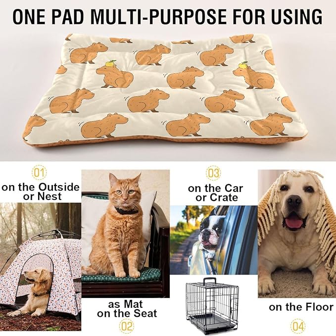 Pet Bed Cute Capybara Dog Bed Mat Absorbing Non Slip Pad Pet Sleeping Mat for Small, Medium, and Large Dogs Puppy Cat 36 in x 24 in
