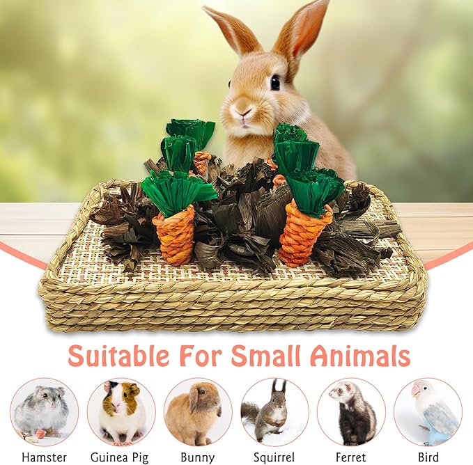 Hamiledyi Pet Fun Bunny Chew Toy Rattan Grass Scratcher Rabbit Enrichment Climbing Play Carrot Digging Toys for Bunnies Rabbits Guinea Pigs Parrots Ferret Hedgehog Squirrel and Other Rodents
