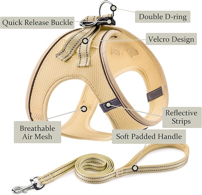 Dog Harness with Leash Set, No Pull Adjustable Reflective Step-in Puppy Pet Vest Harnesses for Small Medium Large Dogs and Cats,Beige XS