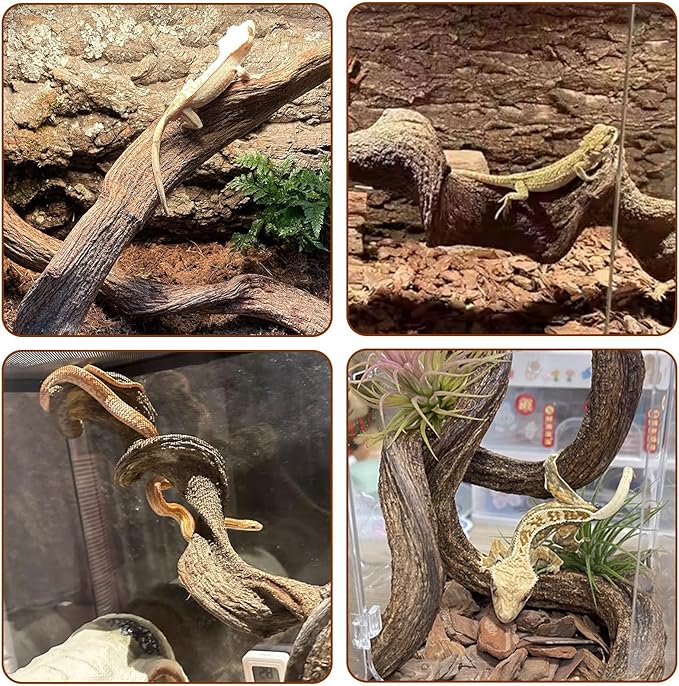 BNOSDM 3PCS Natural Reptile Climbing Branches Decor,1.2-1.8" Thick Natural Snake Climbing Forest Wood with Plant Leaf Decor,Lizard Forest Branch,Geckos Tank Tree Trunk Accessories for Bearded Dragons