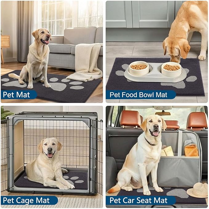 Buganda Dog Door Mat for Muddy Paws, Absorbent Dirt Trapper Washable Indoor Doormats, Non Slip Low-Profile Mud Mat for Dogs, Front Entrance Doormat for Inside Floor (59x35 Inches, Dark Grey)