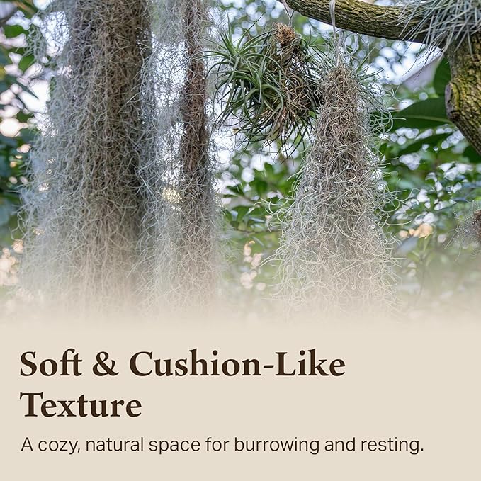 The Habitat Life - Natural Spanish Moss - for Reptiles, Amphibians & Invertebrates Terrariums - Humidity Control - Breathable Bedding - Dye-Free & Safe - Small - 2 Pack