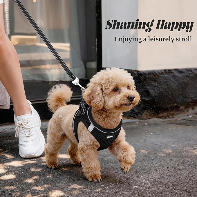 YIMEIS Dog Harness and Leash Set, No Pull Soft Mesh Pet Harness, Reflective Adjustable Puppy Vest for Small Medium Large Dogs, Cats (Black, X-Small (Pack of 1))