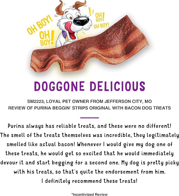 Purina Beggin' Strips Real Meat Dog Treats, Original With Bacon Flavor - 3 Ounce (Pack of 6)