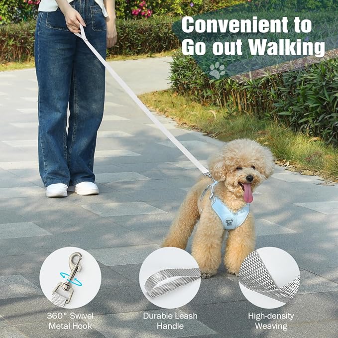 Pawaboo Small Dog Harness and Leash Set, Puppy Harness X-Frame No Pull No Choke, Dog Vest Harness Adjustable for Small Medium Sized Dogs, Soft Breathable Pet Harness for Walking Outing (M, Blue)