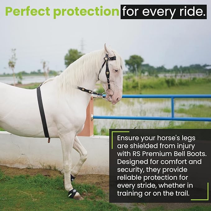 Bell Boots | Prevent Horses from Injury | Professional Bell Boots for Horses with Superb Protection, Durability, Comfort, Relaxable & Lightweight | Easily Remove mud & dust