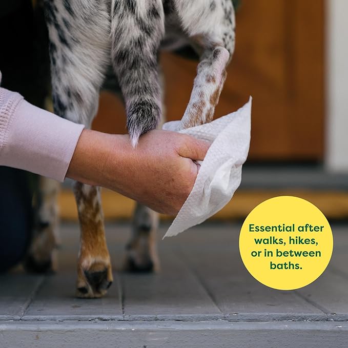 Earth Rated Pet Wipes for Dogs and Cats, Hypoallergenic, Cleaning and Hydrating, for Grooming Paws, Body and Butt, Unscented, 400 Count