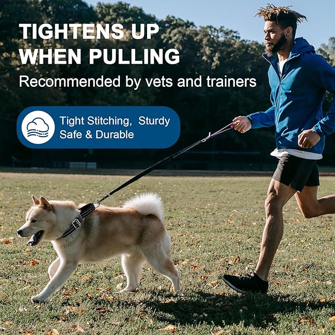 Martingale Dog Collar, Adjustable Nylon Reflective Collar with Buckle No Pull Dog Collar for Small Medium Large Dogs (Black S)