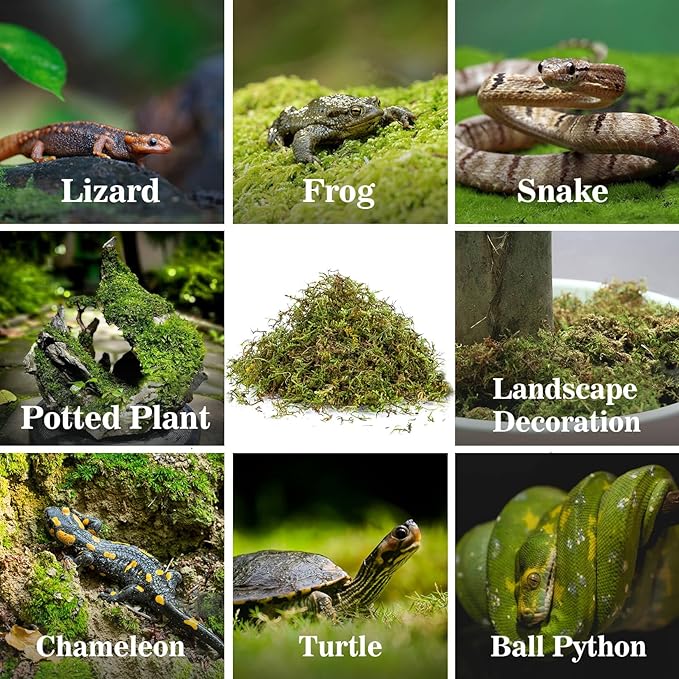 Sphagnum Moss for Reptiles - 7 Oz Reptile Moss Peat Terrarium Moss Bedding Reptiles Lizard Substrate for Reptile Tank, Snake, Leopard Gecko, Ball Python, Crested Gecko, Turtle, Frog, Hamster