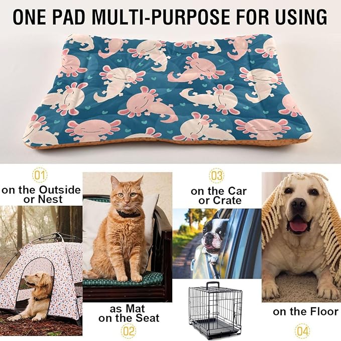 Pet Bed Cute Axolotl Dog Bed Mat Absorbing Non Slip Pad Pet Sleeping Mat for Small, Medium, and Large Dogs Puppy Cat 36 in x 24 in