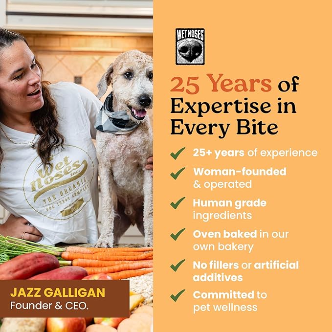 Wet Noses Organic Crunchy Dog Treats – All-Natural, Human-Grade, Non-GMO, Healthy Training & Delicious Snacks for Dogs, for All Dog Sizes & Breeds – Grain Free Pumpkin & Quinoa, 5lb (Single Pack)