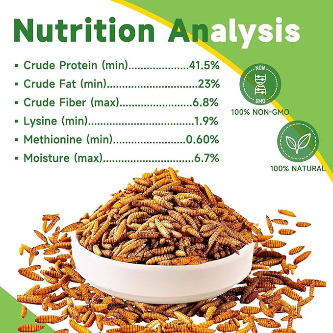 9LB Dried Black Soldier Fly Larvae Treat for Chicken, 100% Natural Non-GMO More Calcium Than Dried Mealworms High Protein Chicken Feed for Birds, Ducks, Layer Hens
