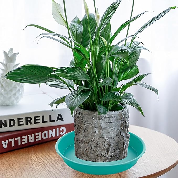6 Pack of 6 inch Plant Saucer Drainage Tray, 4 5 7 8 10 12 13 15 17 19 inch Plastic Plant Water Tray, Flower Saucers for Indoors, Plant Dishes for Pots Base (6 inch, Teal)