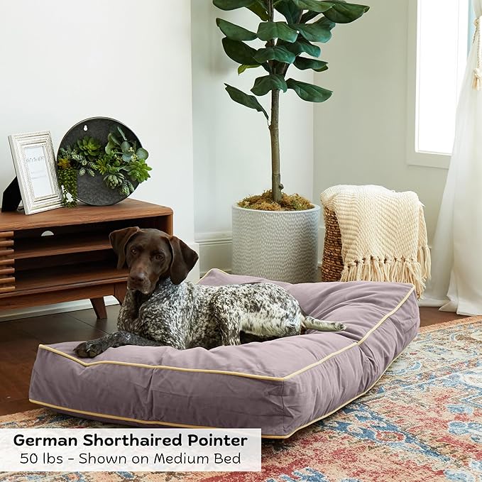 Buster Reversible Rectangle Pillow Style Dog Bed, Smoke, Medium (42 x 30 in.)