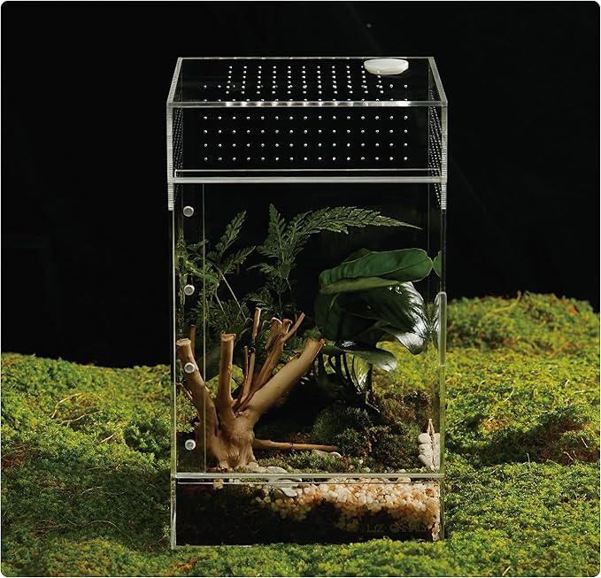 Acrylic Terrarium for Reptiles & Spiders – Small/Medium/Large Leak-Proof Enclosure (Horizontal/Vertical) | Ideal for Tarantulas, Jumping Spiders, Frogs & Geckos (Large Vertical)