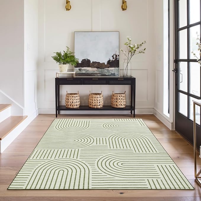 ROYHOME Washable Rug 4x6 Area Rugs
