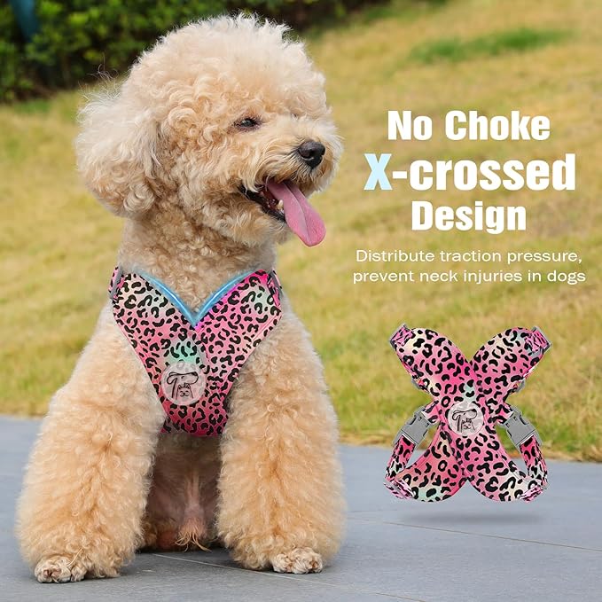 Pawaboo Small Dog Harness and Leash Set, Puppy Harness X-Frame No Pull No Choke, Dog Vest Harnesses Adjustable for Small Medium Sized Dogs,Soft Breathable Pet Harnesses, M, Magenta Leopard