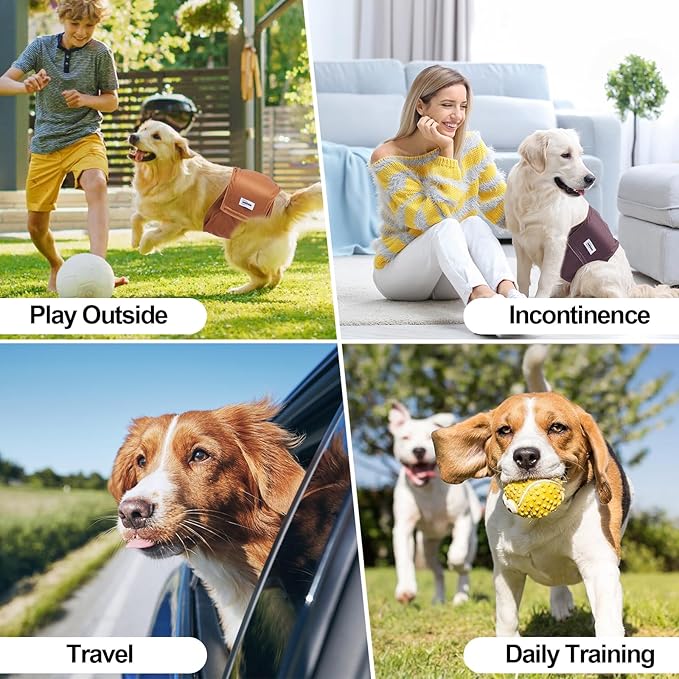 Washable Dog Diapers Male Large, Premium Belly Bands for Dogs Reusable, Pack of 3, High Absorbing Large Puppy Diapers n Incontinence or Excitable Urination and Training(L)