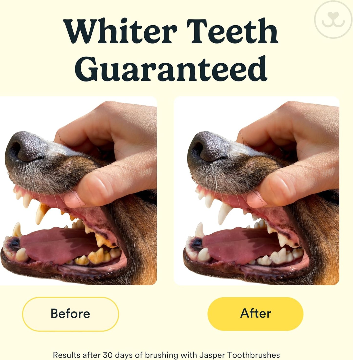 Jasper Dog Toothbrush, 360º Dog Tooth Brushing Kit, Cat Toothbrush, Dog Teeth Cleaning, Dog Finger Toothbrush, Use with Dog Toothpaste - Clear 2-Pack