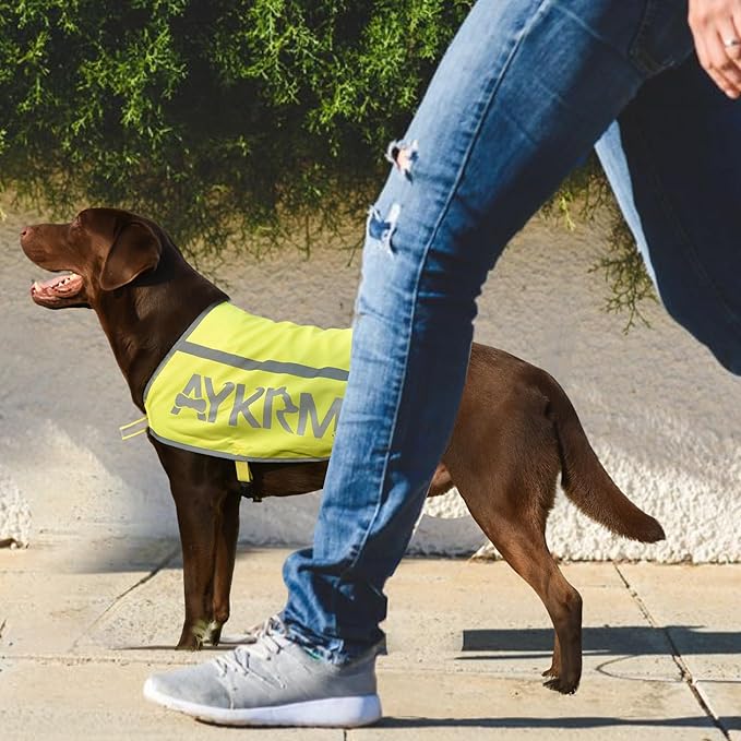Yellow Reflective Dog Vest for XSmall, High Visibility Dog Safety Vest Harness with Removable Bell Keep Safe from Hunting, Training & Cars Accidents