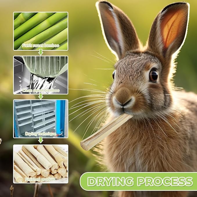William Craft 500g Snacks Sweet Bamboo Chew Toy for Rabbits Chew Sticks for Hamster Chinchilla Guinea Pig,Molar Treats Snack for Small Animals