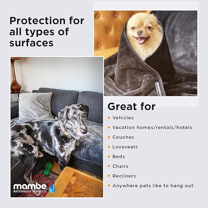 Mambe Non-Slip Pet Blanket Small, Charcoal and Silver - Soft and Silky Waterproof Throw - Machine Washable Fleece - for Protecting Furniture from Stains - for Dog and Pet Fur