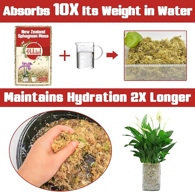 Halatool Premium New Zealand Sphagnum Moss, 500g(40L When Hydrated), for Orchid Repotting Succulent Sarracenia Potted Plants Gardening & Reptiles