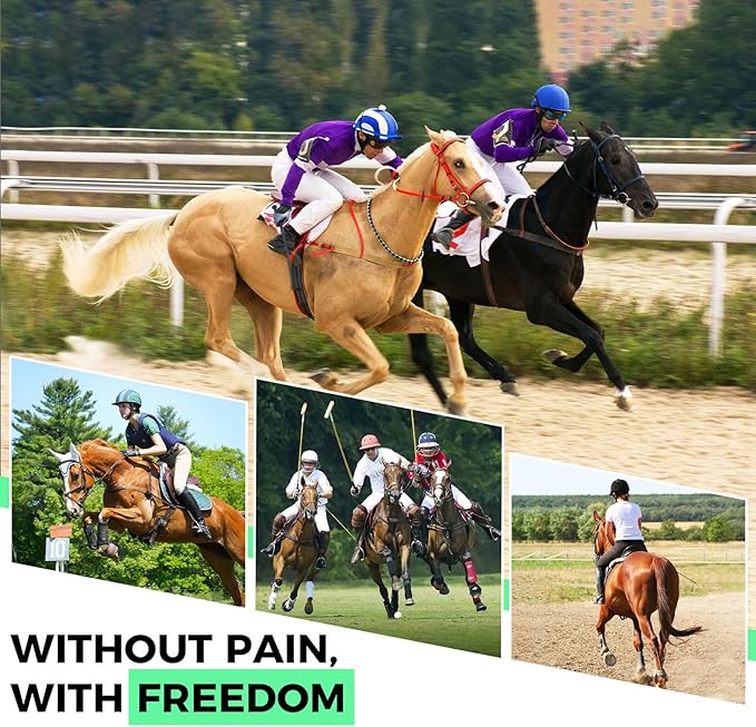 Reusable Gel Horse Ice Boots (Set of 2) - Adjustable Leg Wraps for Cooling Relief on Hocks, Knees & Ankles, Durability & Cooling in Active Horses
