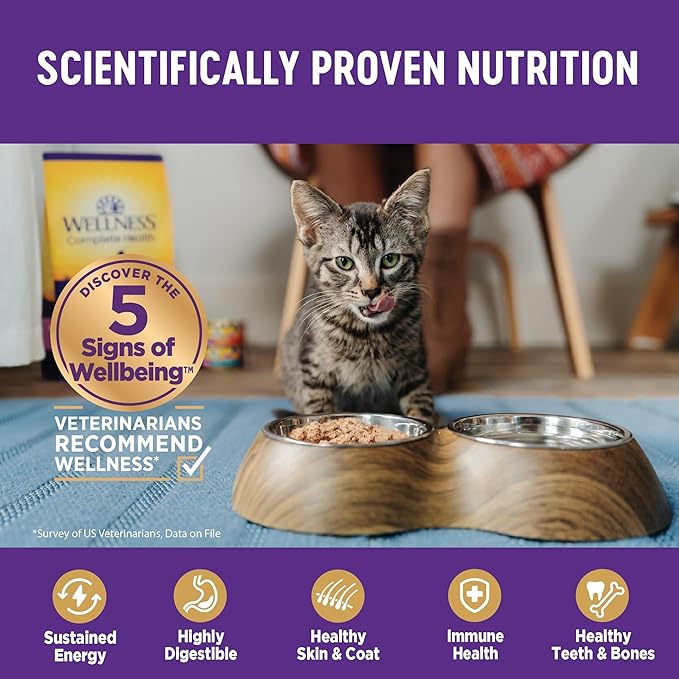 Wellness Complete Health Natural Grain Free Wet Canned Cat Food, Chicken & Lobster Pate, 5-Ounce Can (Pack of 24)