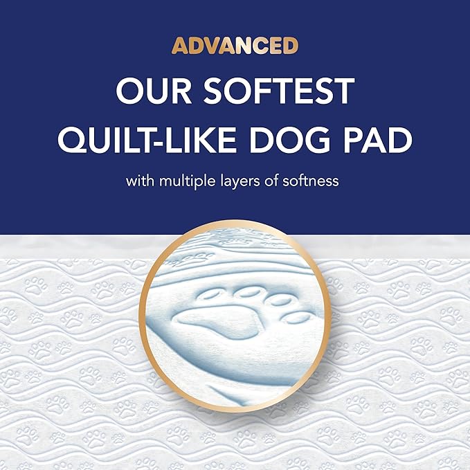 Scott Pet Guard Advanced Dog Pads - Large - 22" x 22" - 50 Pack of Pet Pads