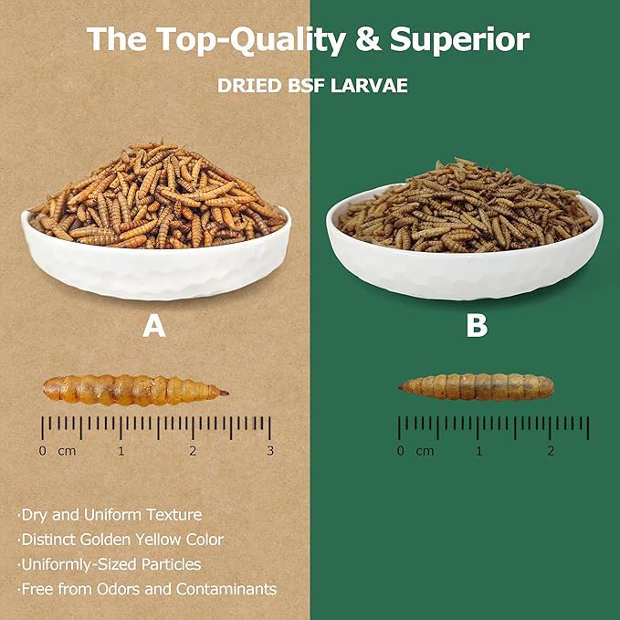 Premium Dried BSF Larvae for Chickens - 10LB High Calcium Supplement, Molting and Laying Support, Non-GMO & High-Protein Treats, Food for Wild Birds, Ducks, Repitle | Top Grade BSF