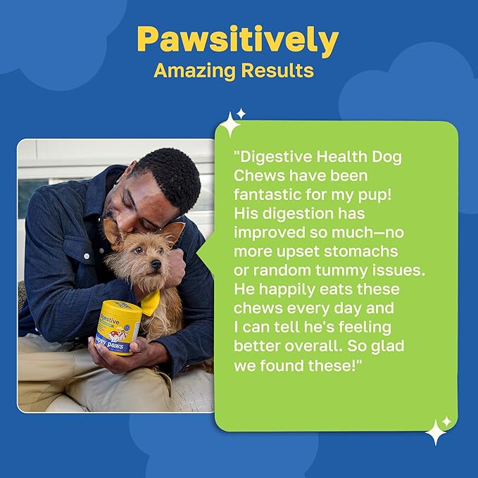 Happy Paws Digestive Supplement for Dogs, Supports Gut Health for Dogs of All Breeds & Ages, Made with Probiotics, Enzyme Blend & Ginger Root, Pumpkin Flavor, Organic, Non GMO, 100 Soft Chews